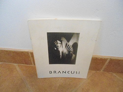 Imagen de archivo de Brancusi, the Sculptor as Photographer a la venta por Sumter Books (Manly, Inc.)