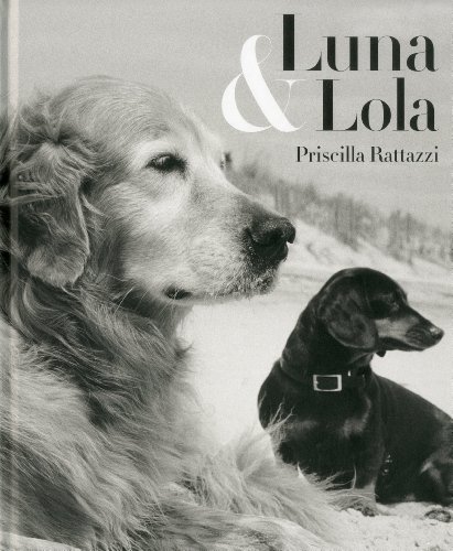 Stock image for Luna & Lola for sale by Hay-on-Wye Booksellers