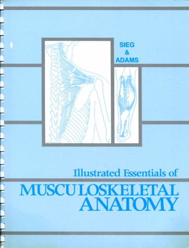 Beispielbild fr Illustrated Essentials of Musculoskeletal Anatomy zum Verkauf von HPB-Ruby