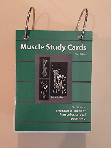 Beispielbild fr Muscle Study Cards, for the book: Illustrated Essentials of Musculoskeletal Anatomy zum Verkauf von SecondSale