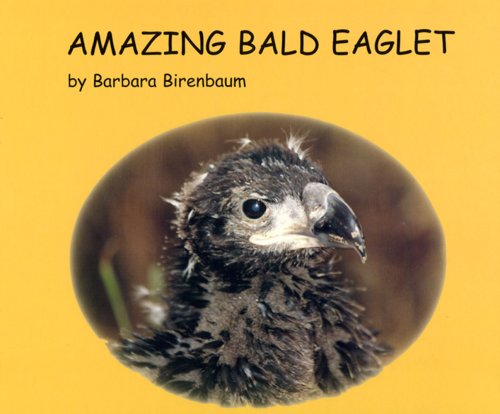 Imagen de archivo de Amazing Bald Eaglet (Story Within a Story #1) a la venta por HPB-Emerald