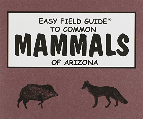Beispielbild fr Easy Field Guide to Common Mammals of Arizona zum Verkauf von Robinson Street Books, IOBA