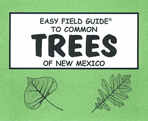 Beispielbild fr Easy Field Guide to Trees of New Mexico Easy Field Guides zum Verkauf von PBShop.store US