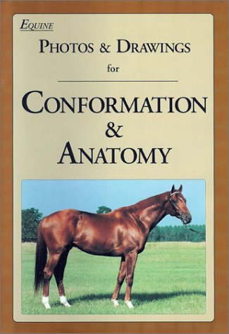 Beispielbild fr Equine Photos & Drawings for Conformation & Anatomy zum Verkauf von All Booked Up