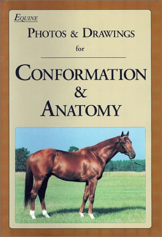 Imagen de archivo de Equine Photos & Drawings for Conformation & Anatomy a la venta por All Booked Up