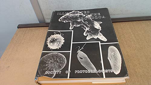 Imagen de archivo de An Illustrated Guide to the Protozoa. a la venta por N. Fagin Books