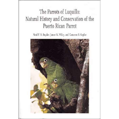 Imagen de archivo de The parrots of Luquillo: Natural history and conservation of the Puerto Rican parrot a la venta por Stone Soup Books Inc