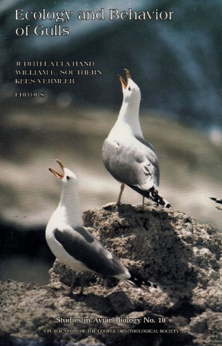 Stock image for Ecology and Behavior of Gulls: Proceedings of an International Symposium of the Colonial Waterbird Group and the Pacific Seabird Group, San Francisco, . 6 December, 1985 (Studies in Avian Biology) for sale by Chaparral Books