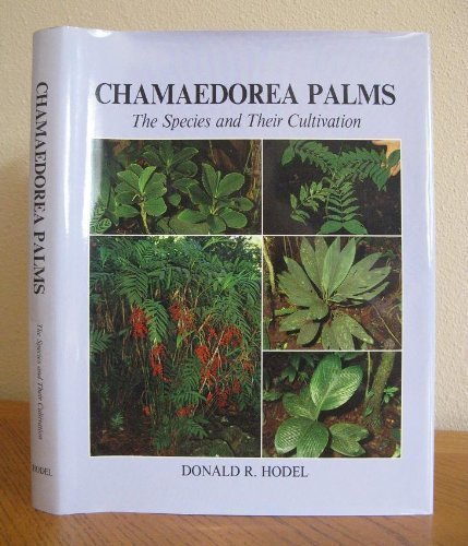 Imagen de archivo de Chamaedorea Palms the Species and Their Cultivation a la venta por Bookmans