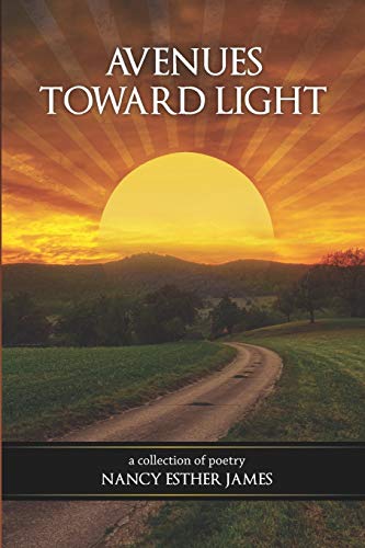 Imagen de archivo de Avenues Toward Light a la venta por Lucky's Textbooks