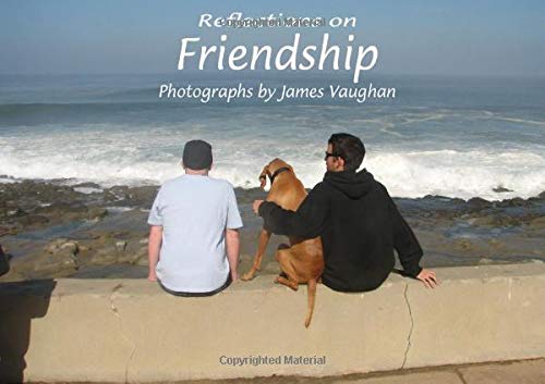Beispielbild fr Reflections on Friendship (Volume 6) zum Verkauf von Revaluation Books