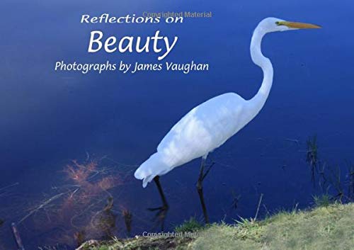 Stock image for Reflections on Beauty: Volume 11 for sale by Revaluation Books