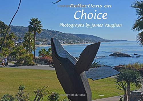 Stock image for Reflections on Choice: Volume 22 (Reflections on Things That Matter) for sale by Revaluation Books