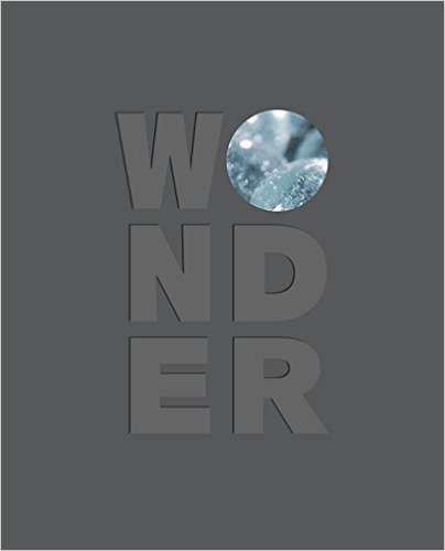 Beispielbild fr Wonder zum Verkauf von Wonder Book