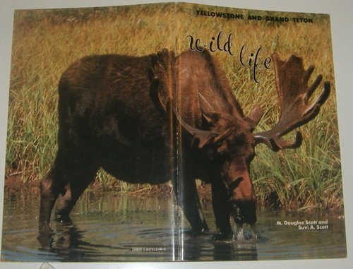 Imagen de archivo de Wildlife of Yellowstone and Grand Teton National Parks a la venta por Wonder Book