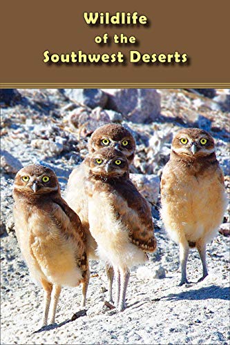 Stock image for Wildlife of the Southwest Deserts for sale by Irish Booksellers