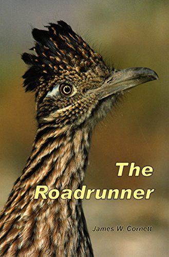 Stock image for The Roadrunner for sale by Gulf Coast Books