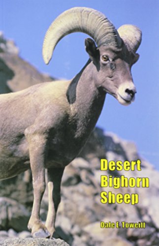 Stock image for Desert Bighorn Sheep for sale by Better World Books: West