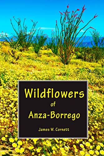 Beispielbild fr Wildflowers of Anza-Borrego zum Verkauf von GF Books, Inc.
