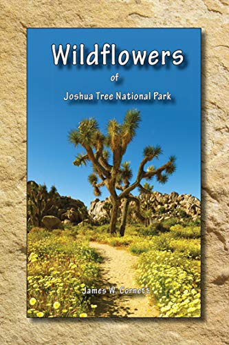 Stock image for Wildflowers of Joshua Tree National Park for sale by Blue Vase Books