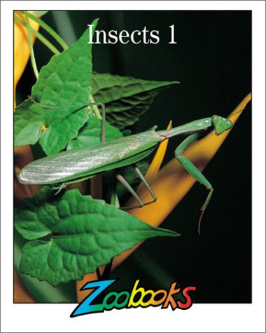 Beispielbild fr Insects zum Verkauf von Better World Books