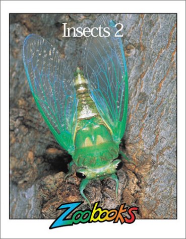 Imagen de archivo de Insects 2 (Zoobooks Series) a la venta por Orion Tech