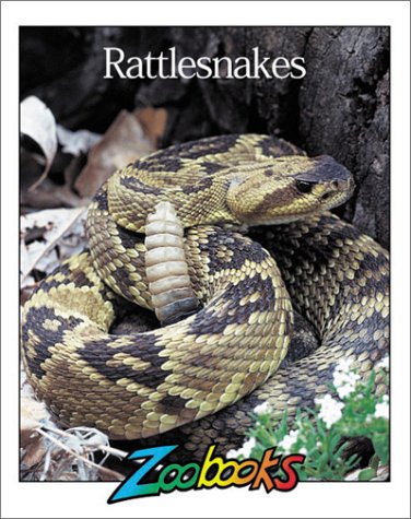 Beispielbild fr Rattlesnakes (Zoobooks Series) zum Verkauf von Wonder Book