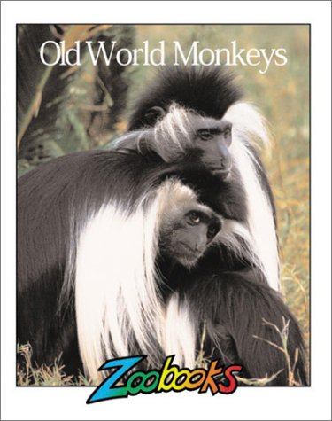 Beispielbild fr Old World Monkeys zum Verkauf von Better World Books