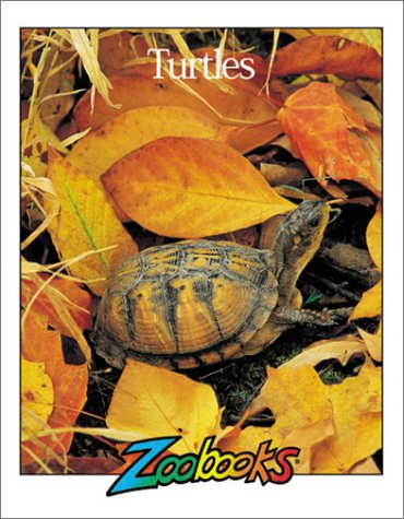 Stock image for Turtles (Zoobooks Series) for sale by HPB-Diamond