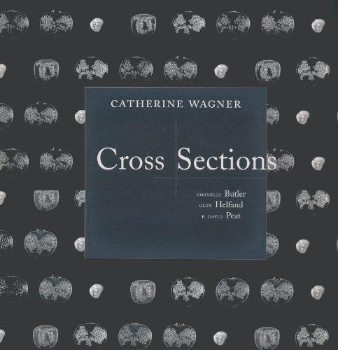 Beispielbild fr Catherine Wagner: Cross Section zum Verkauf von 246 Books