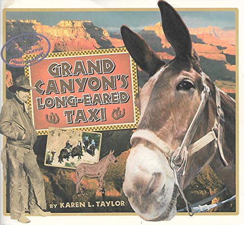 Grand Canyon's Long-Eared Taxi