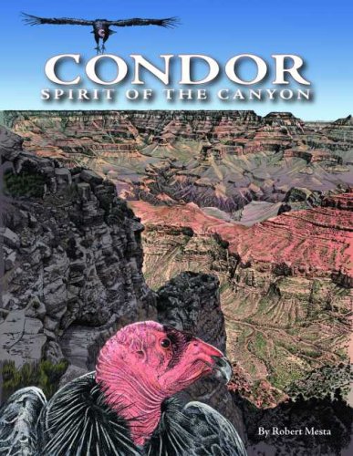 Stock image for Condor: Spirit of the Canyon for sale by ThriftBooks-Atlanta
