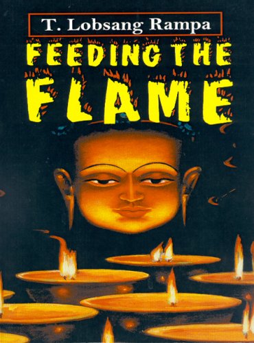 Imagen de archivo de Feeding the Flame a la venta por ThriftBooks-Atlanta