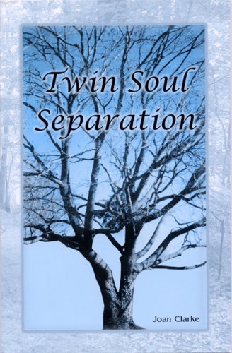 Beispielbild fr Twin Soul Separation zum Verkauf von dsmbooks