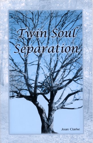 Stock image for Twin Soul Separation for sale by dsmbooks