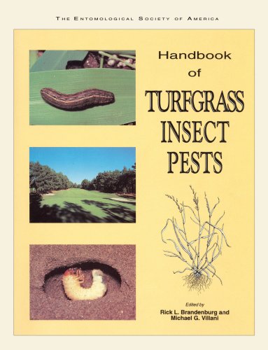 Beispielbild fr Handbook of Turfgrass Insect Pests : A Guide to Successful Insect Pest Management zum Verkauf von Better World Books