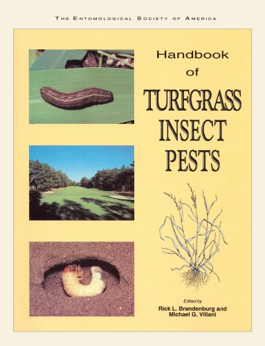 Imagen de archivo de Handbook of Turfgrass Insect Pests : A Guide to Successful Insect Pest Management a la venta por Better World Books