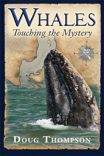Stock image for Whales: Touching the Mystery for sale by Goodbookscafe