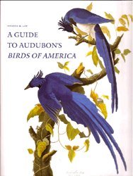 Beispielbild fr A Guide to Audubon's Birds of America: A Concordance Containing Current Names of the Birds, Plate Names With Descriptions of Plate Variants, a Description of the Bien Edition, and zum Verkauf von Irish Booksellers