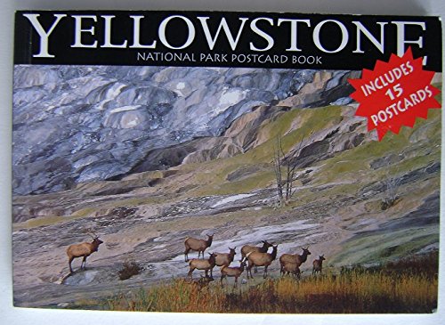 9780939365050: Yellowstone (Postcard Books)
