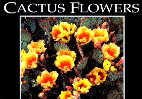 CACTUS FLOWERS : Postcard Book