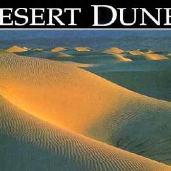 Beispielbild fr Desert Dunes Postcard Book (Postcard Books) zum Verkauf von WorldofBooks