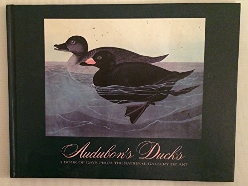 Imagen de archivo de Audubon's Ducks: A Book of Days from the National Gallery of Art a la venta por Nealsbooks
