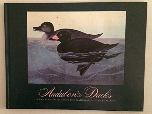 Stock image for Audubon's Ducks: A Book of Days from the National Gallery of Art for sale by Nealsbooks