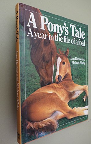Imagen de archivo de A Pony's Tale: A Year in the Life of a Foal a la venta por Wonder Book