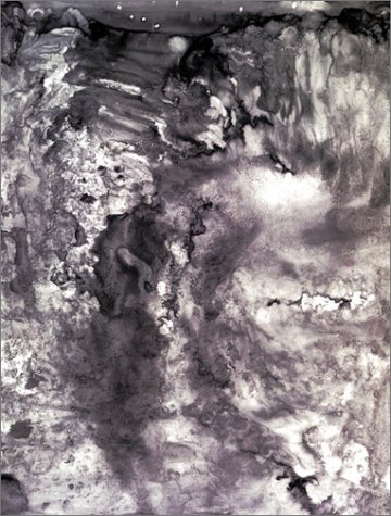 Jasper Johns: Drawings