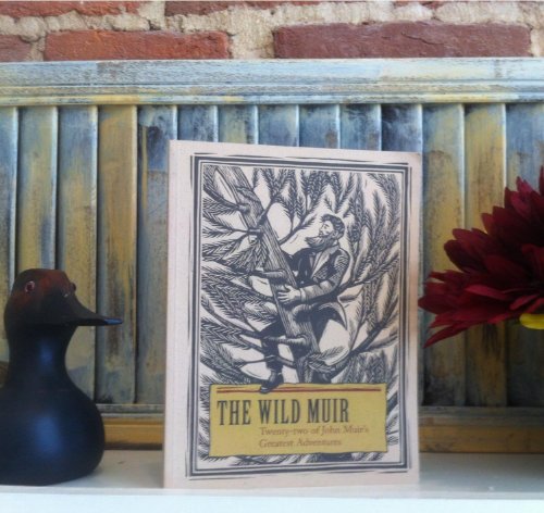 Beispielbild fr THE WILD MUIR: Twenty-Two of John Muir's Greatest Adventures zum Verkauf von Virginia Martin, aka bookwitch