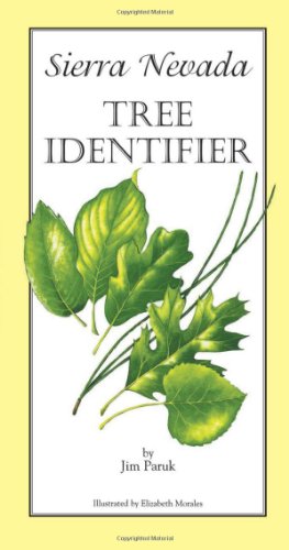 Stock image for Sierra Nevada Tree Identifier. for sale by Sara Armstrong - Books