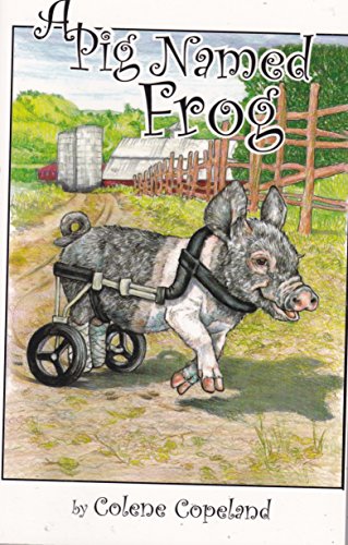 Stock image for A Pig Named Frog for sale by Goodwill Books