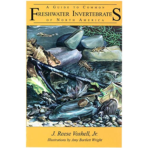 9780939923878: A Guide to Common Freshwater Invertebrates of North America